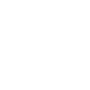 Interactive Conference Report
